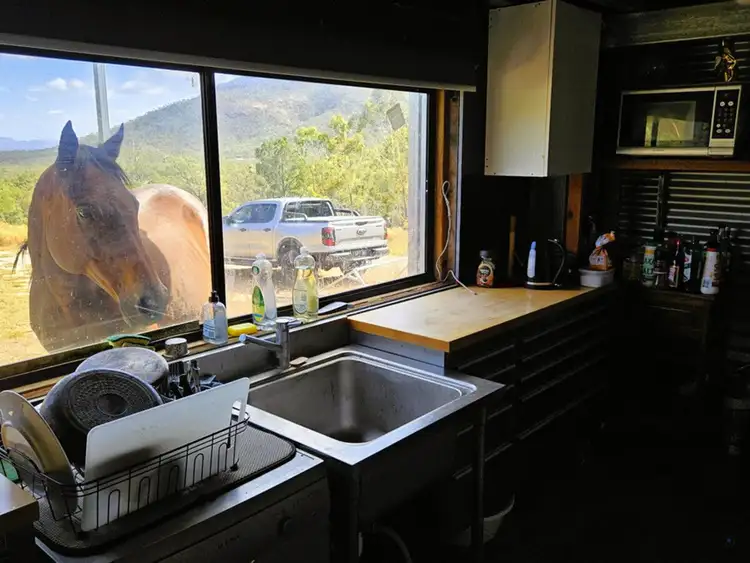 Fifth view of Homely rural property listing, 134 Lemontree Drive, Mutchilba QLD 4872