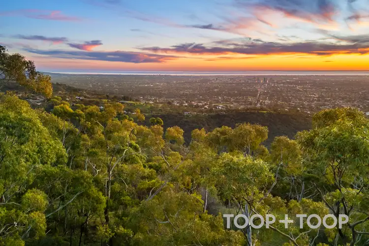 86 Woodland Way, Teringie SA 5072