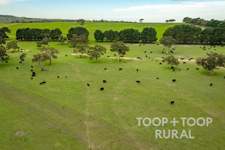 Fifth view of Homely rural property listing, 618 Deep Creek Road, Tooperang SA 5255