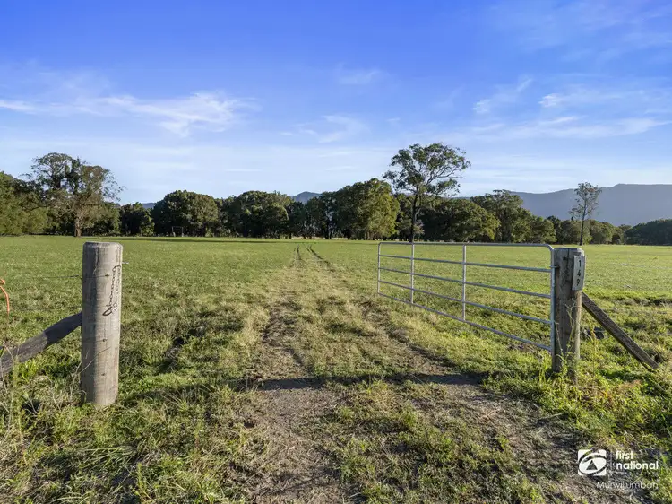 149 Pumpenbil Road, Pumpenbil NSW 2484