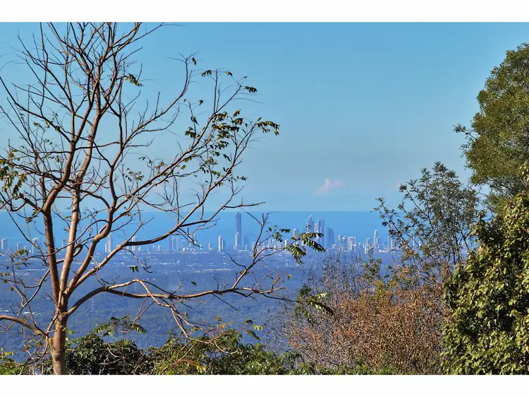 Fourth view of Homely house listing, 21-23 Palm Grove Avenue, Tamborine Mountain QLD 4272