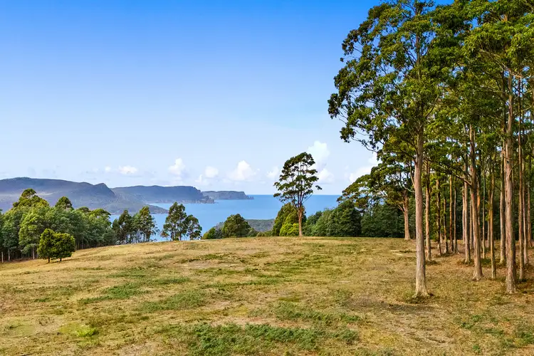 Sixth view of Homely land listing, 269 Lookout Road, Port Arthur TAS 7182