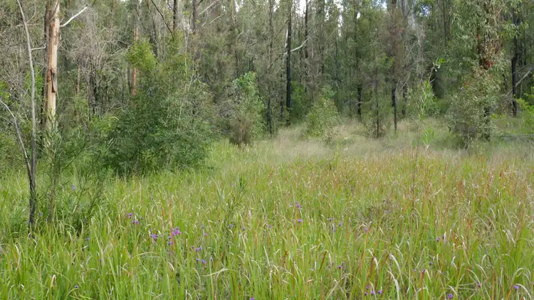 Fourth view of Homely rural property listing, 134 Sugarbag Rd W, Drake NSW 2469