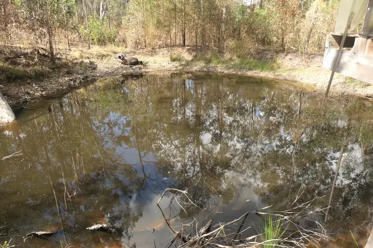 Fifth view of Homely rural property listing, 134 Sugarbag Rd W, Drake NSW 2469