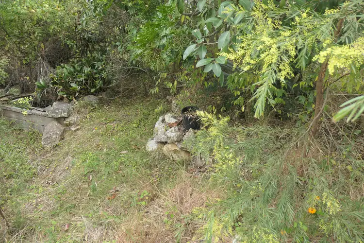 Sixth view of Homely rural property listing, 134 Sugarbag Rd W, Drake NSW 2469