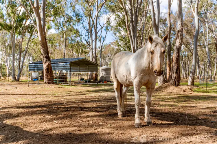 Third view of Homely rural property listing, LOT 1 Ahern Lane, Pratten QLD 4370