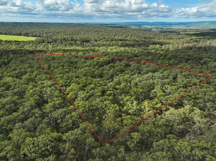 245 McCalls Road, Yeodene VIC 3249