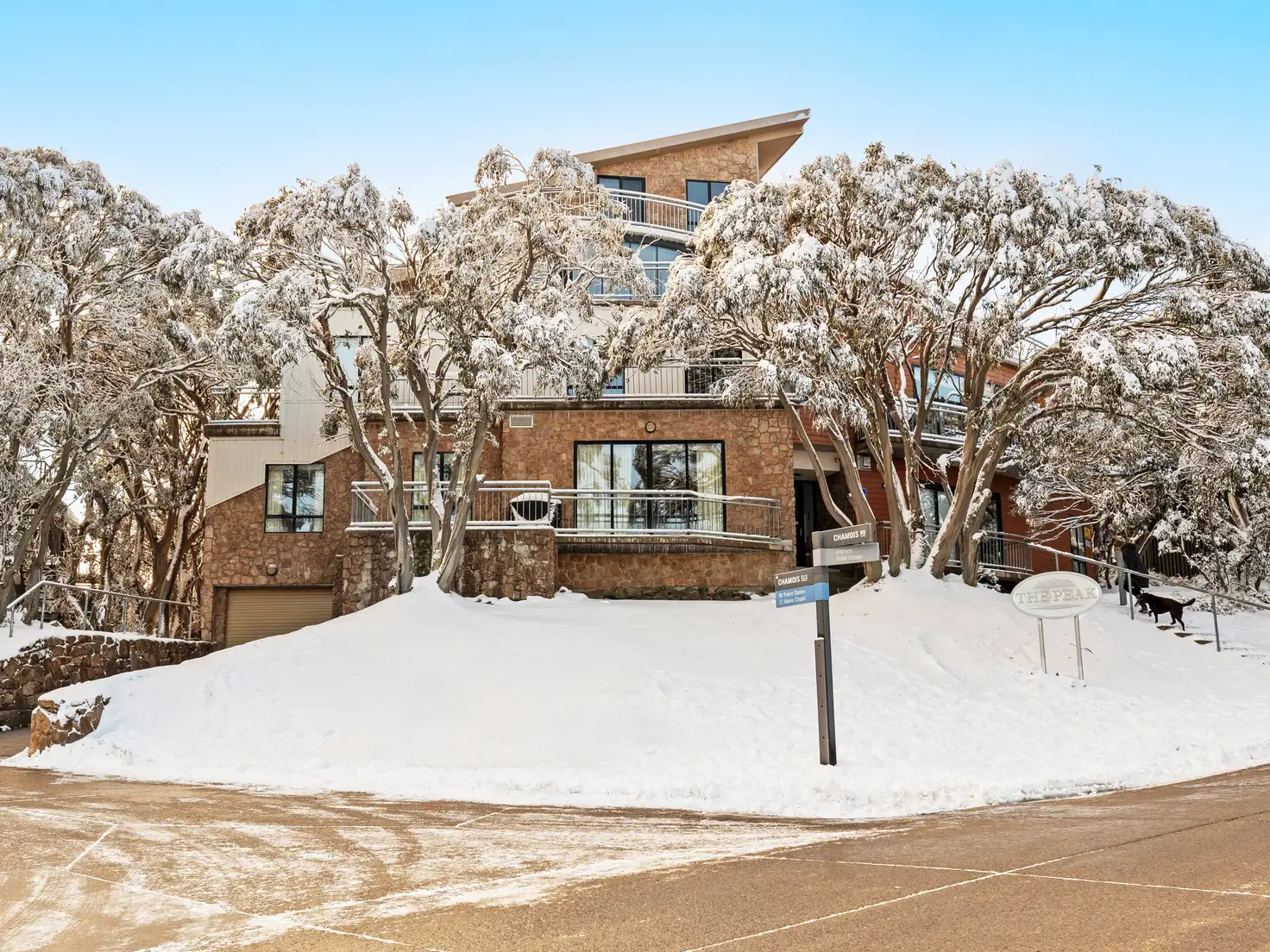 Main view of Homely apartment listing, 101/1 Stirling Road, Mount Buller VIC 3723