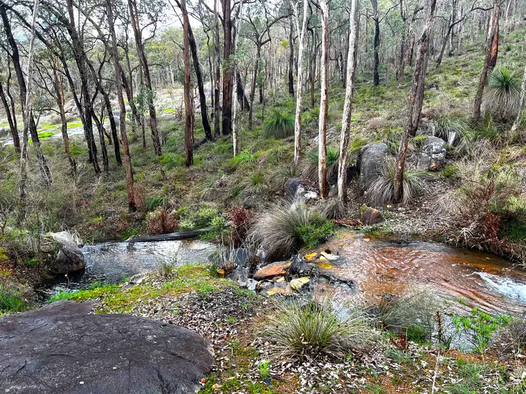 Fifth view of Homely house listing, 165 Stanhope Road, Bickley WA 6076