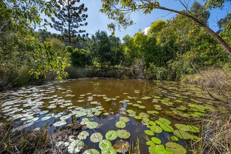 Third view of Homely rural property listing, 68 Warwick Park Road, Wooyung NSW 2483