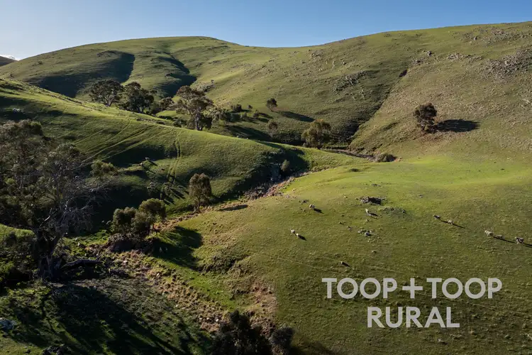 Main view of Homely rural property listing, LOT 279 Three Chain Road, Sanderston SA 5237