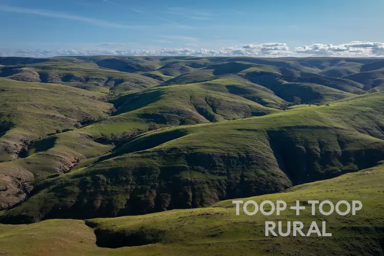 Second view of Homely rural property listing, LOT 279 Three Chain Road, Sanderston SA 5237