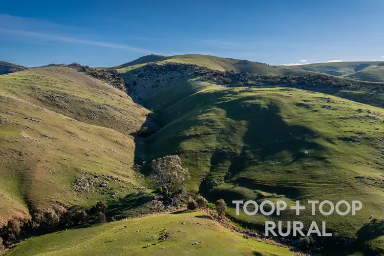 Fourth view of Homely rural property listing, LOT 279 Three Chain Road, Sanderston SA 5237