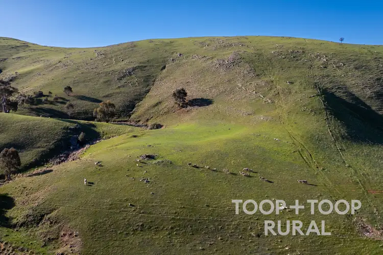Fifth view of Homely rural property listing, LOT 279 Three Chain Road, Sanderston SA 5237