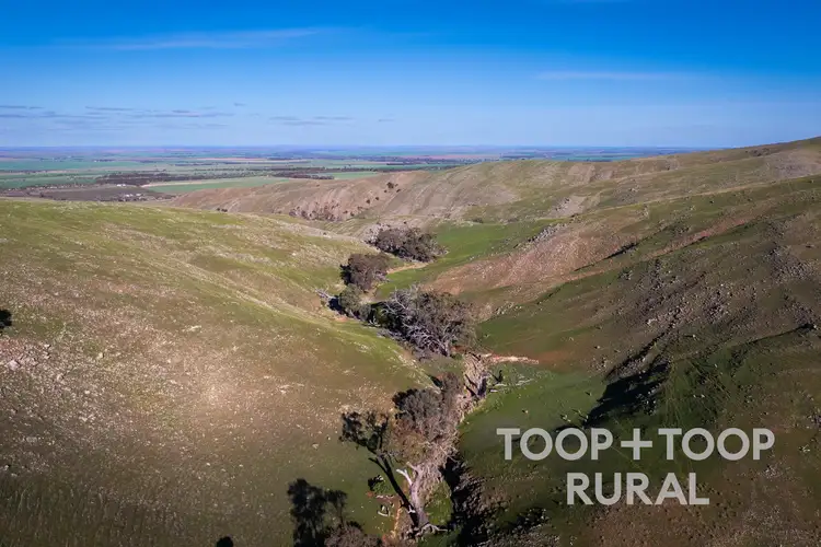 Seventh view of Homely rural property listing, LOT 279 Three Chain Road, Sanderston SA 5237