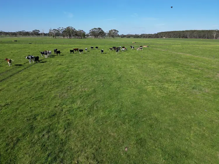 Third view of Homely rural property listing, Horans Road, Carpendeit VIC 3260