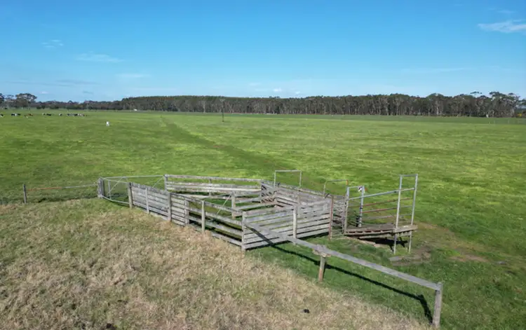 Fifth view of Homely rural property listing, Horans Road, Carpendeit VIC 3260