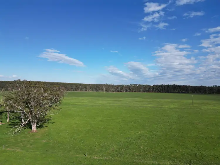 Seventh view of Homely rural property listing, Horans Road, Carpendeit VIC 3260
