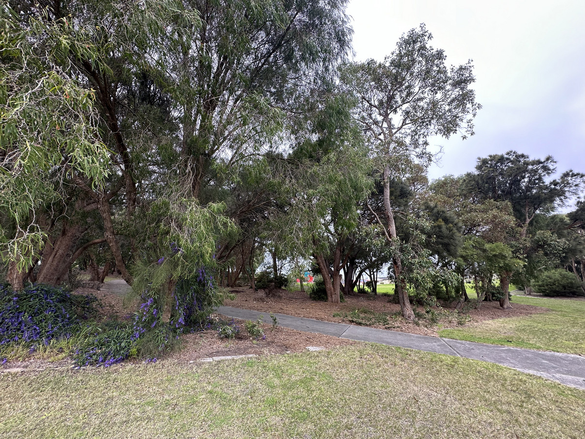 Fifth view of Homely house listing, 1 Chauncy Way, Spencer Park WA 6330