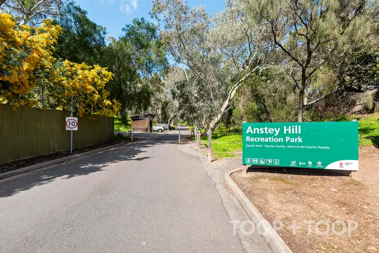 Fifth view of Homely land listing, 5 Broom Street, Tea Tree Gully SA 5091