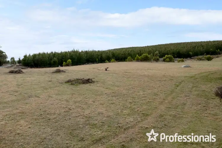 Fifth view of Homely land listing, LOT Lot 3, 180 Sunny Corner Road, Kirkconnell NSW 2795