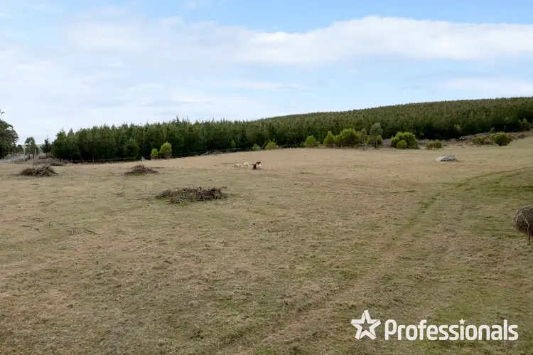 Fifth view of Homely land listing, LOT Lot 2, 180 Sunny Corner Road, Kirkconnell NSW 2795