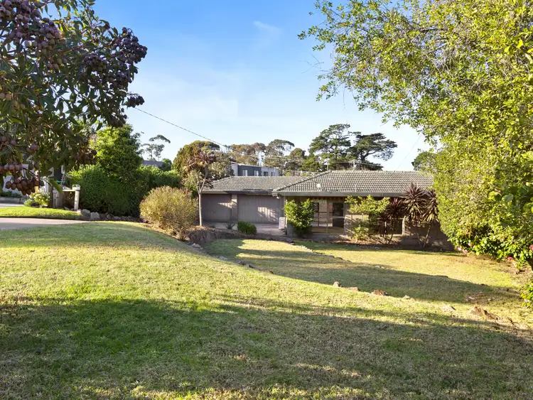 Main view of Homely house listing, 31 Butler Avenue, Mornington VIC 3931