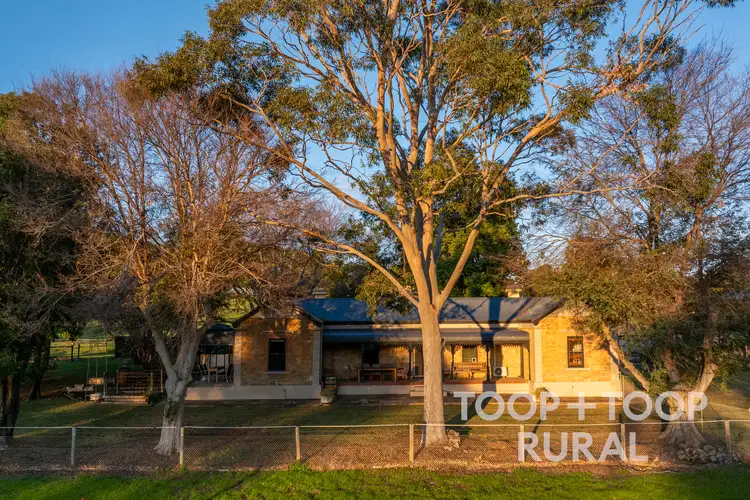 Third view of Homely rural property listing, 2415 Murbko Road, Murbko SA 5320