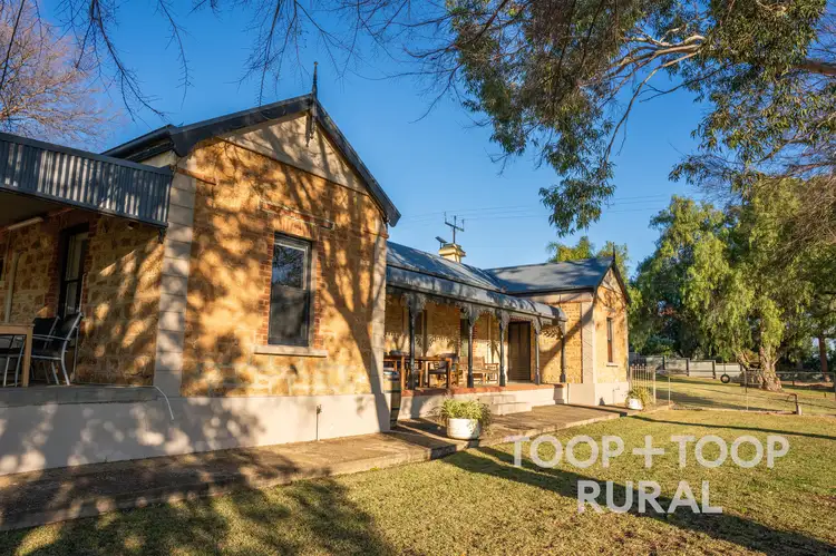 Fourth view of Homely rural property listing, 2415 Murbko Road, Murbko SA 5320