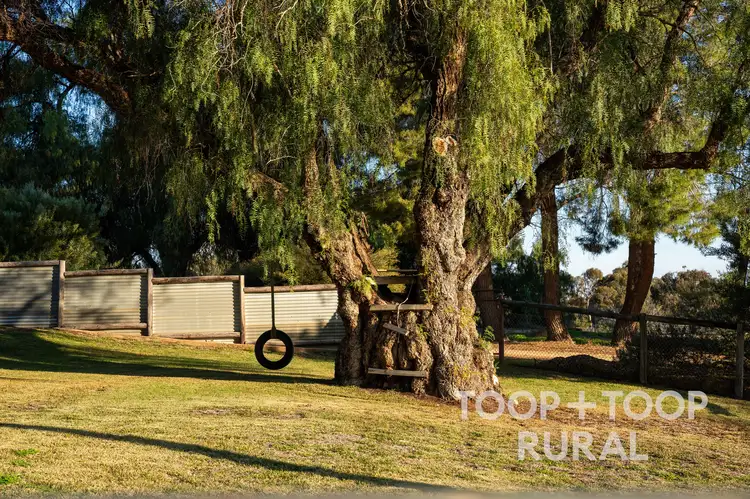 Fifth view of Homely rural property listing, 2415 Murbko Road, Murbko SA 5320