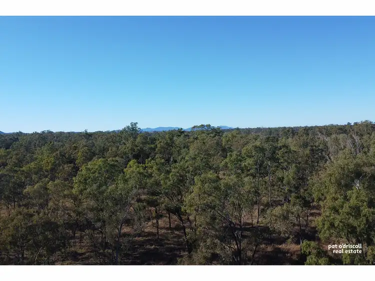 LOT 41 Augustus Street, Yaamba QLD 4704