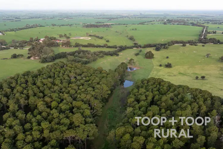 Fifth view of Homely rural property listing, 184 Wattle Flat Road, Sandergrove SA 5255