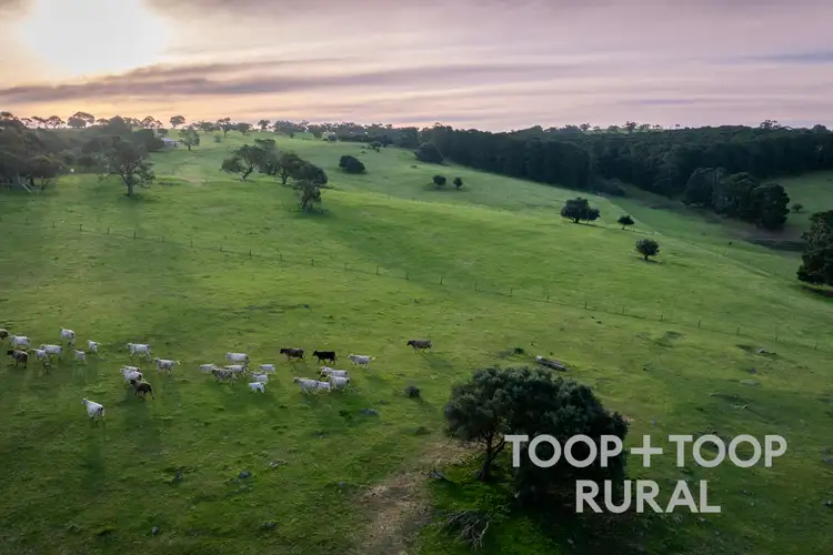 Sixth view of Homely rural property listing, 184 Wattle Flat Road, Sandergrove SA 5255