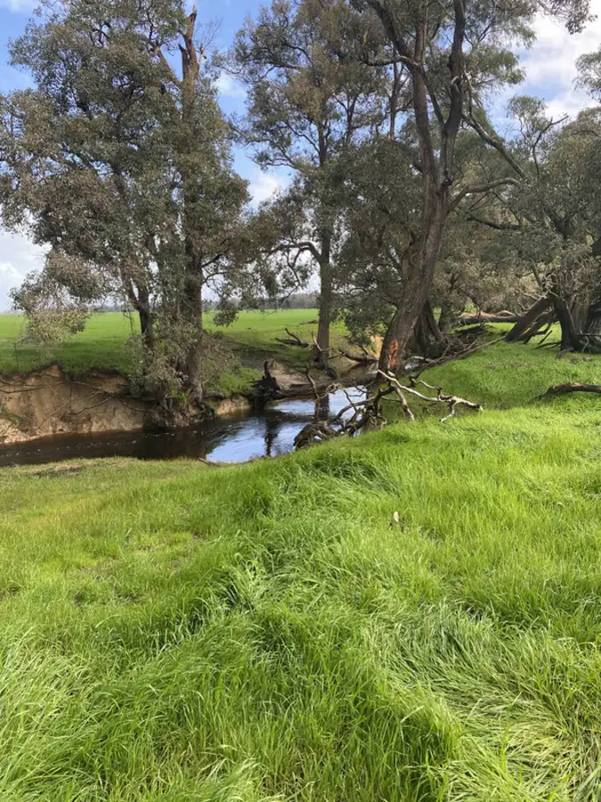 Fourth view of Homely rural property listing, 712 Wonnerup South Road, Yoongarillup WA 6280