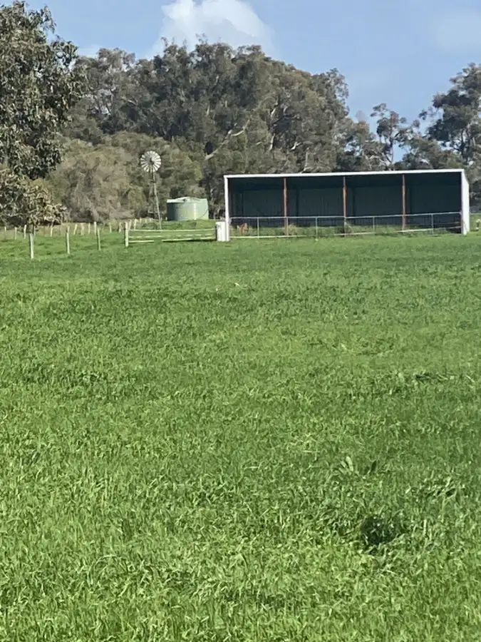 Seventh view of Homely rural property listing, 712 Wonnerup South Road, Yoongarillup WA 6280