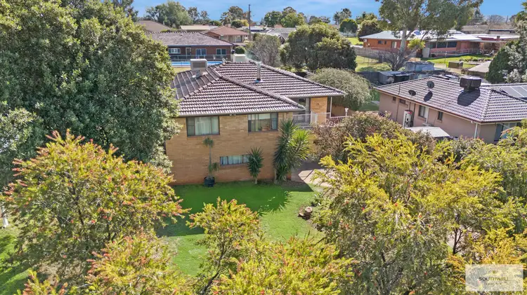 10 Graham Street, Tamworth NSW 2340