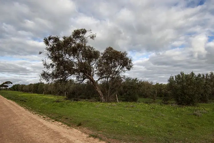 Third view of Homely land listing, 477 Freebairn Estate Drive, Owen SA 5460