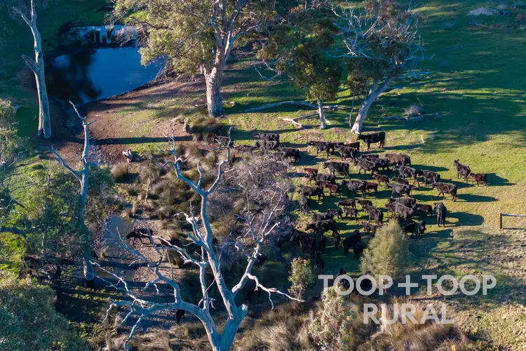 Third view of Homely rural property listing, 140 Pebbly Range Road, Tungkillo SA 5236