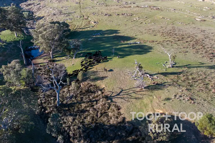 Fourth view of Homely rural property listing, 140 Pebbly Range Road, Tungkillo SA 5236