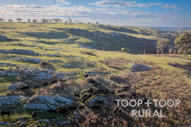 Fifth view of Homely rural property listing, 140 Pebbly Range Road, Tungkillo SA 5236