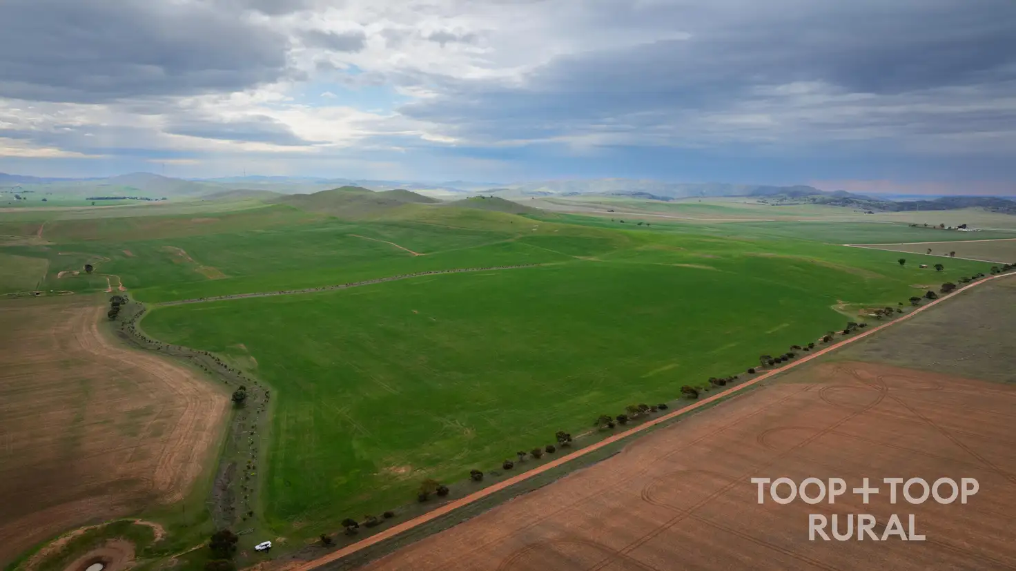 Main view of Homely rural property listing, 59 Schuppan Road, Emu Downs SA 5381