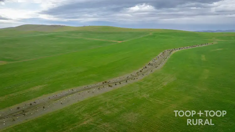 Third view of Homely rural property listing, 59 Schuppan Road, Emu Downs SA 5381