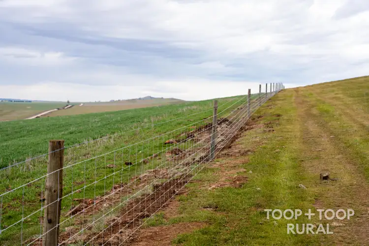 Fifth view of Homely rural property listing, 59 Schuppan Road, Emu Downs SA 5381