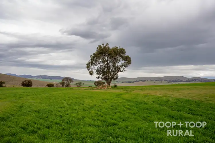 Sixth view of Homely rural property listing, 59 Schuppan Road, Emu Downs SA 5381