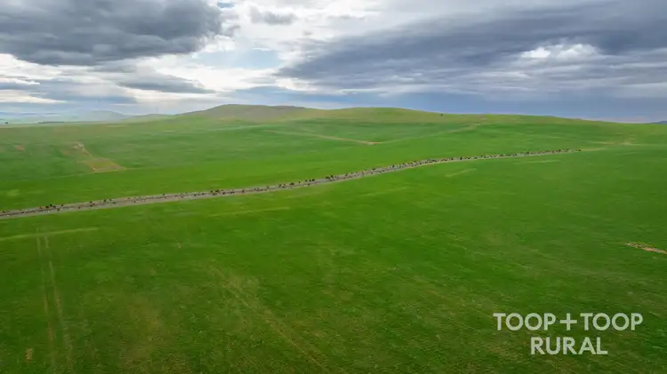 Seventh view of Homely rural property listing, 59 Schuppan Road, Emu Downs SA 5381