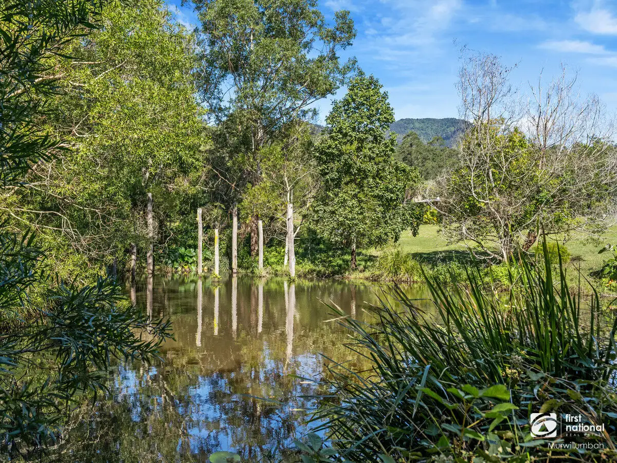 Main view of Homely land listing, 11 Waratah Court, Mount Burrell NSW 2484