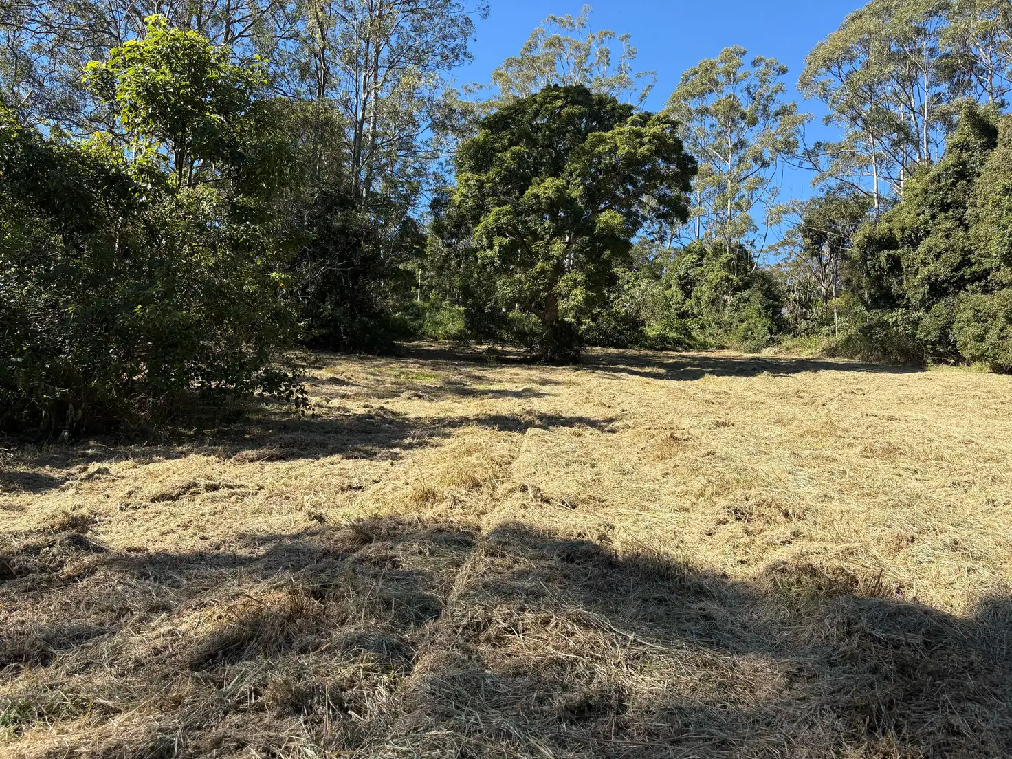 Main view of Homely land listing, 620 Binna Burra Road, Beechmont QLD 4211