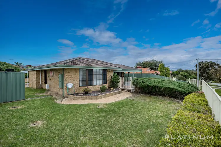 Main view of Homely house listing, 17 Warrandyte Drive, Craigie WA 6025