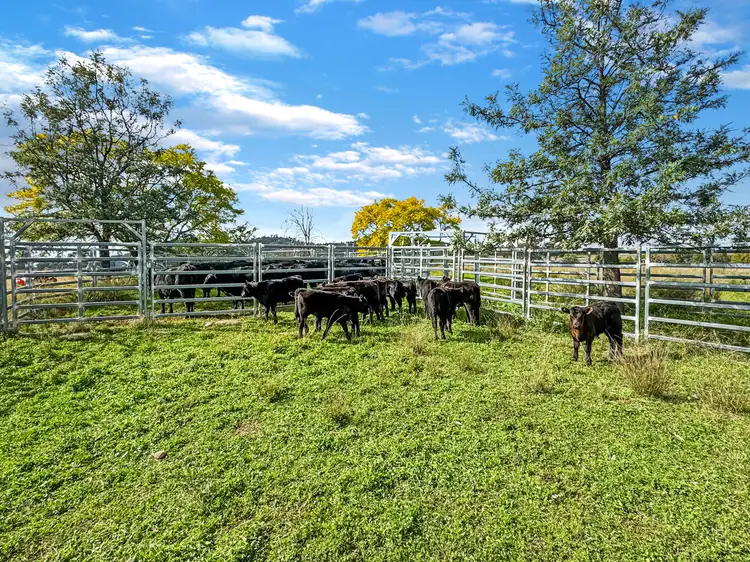 Fifth view of Homely rural property listing, 'Gemini Park' 1891 Wandobah Road, Gunnedah NSW 2380