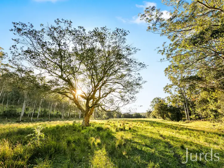 Fifth view of Homely rural property listing, 1101 Congewai Road, Congewai NSW 2325